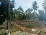 Organic Managed Farm Land 6534sqft at Gouribidnur