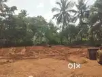 Selling Plot of 18 cent in Kattusseri, Alathur, Palakkad