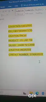 Collection executive