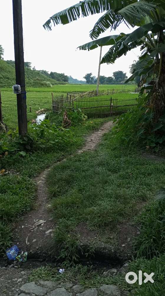 7 কাটা জায়গা=1,50,000/- per katha