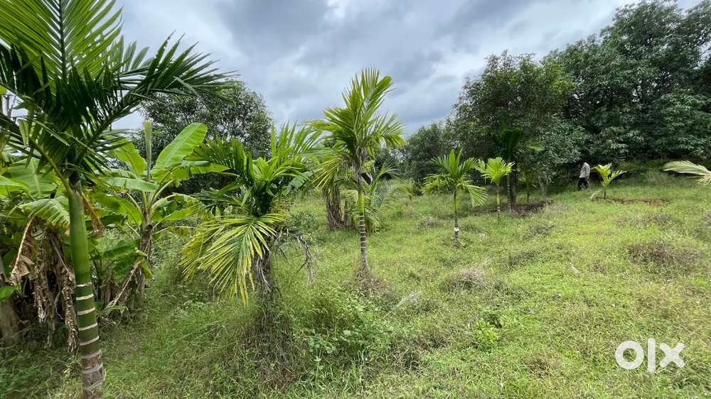 Farm land for sale in coutralam in EMI