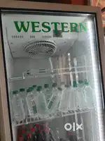 Western litre 650