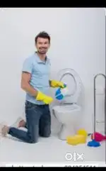 PROFESSIONAL JOB