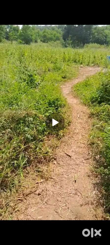 5 beegha 6 biswa agriculture land
