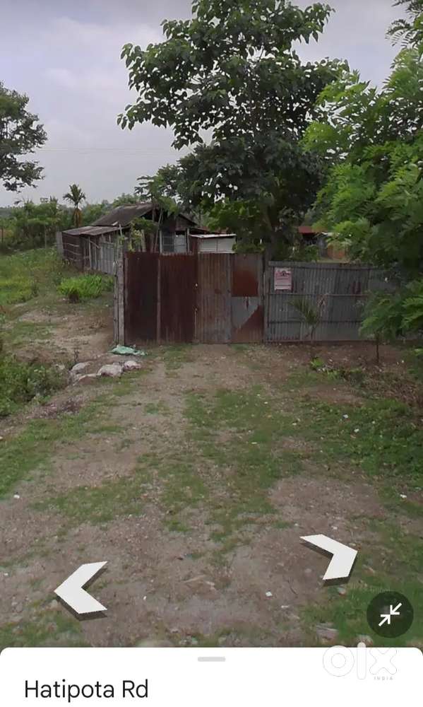 1 bigha - 1 বিঘা