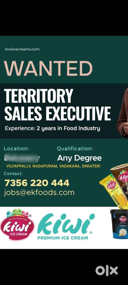 TERITORY SALE EXECUTIVE
