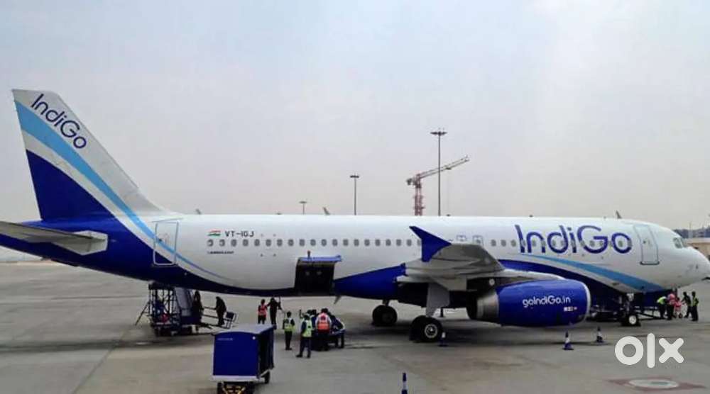 Indigo Airlines Jobs /Vacancy for Airport Ground Staff / Driver / Crew