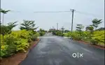New international airport road