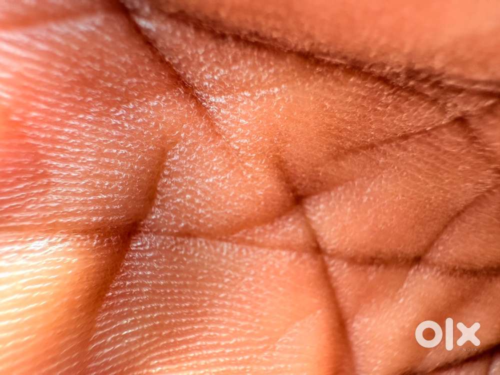 Hostel building for Rent at tripunithura