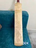English willlow cricket bat