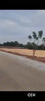 3 ACRE LAND FOR SALE IN IVC ROAD DEVANAHALLI