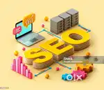 seo service 8000/month