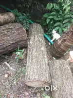 Meat cutting woods