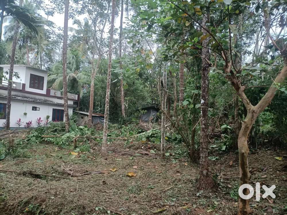 10.5 cent land for sale