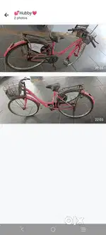 Lady bird ladies cycle