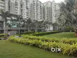 Flat for Sale in GajuwaKa Celest