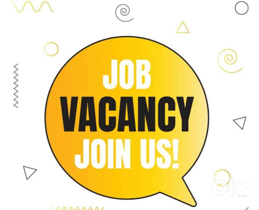 Job hiring for fresher and experienced