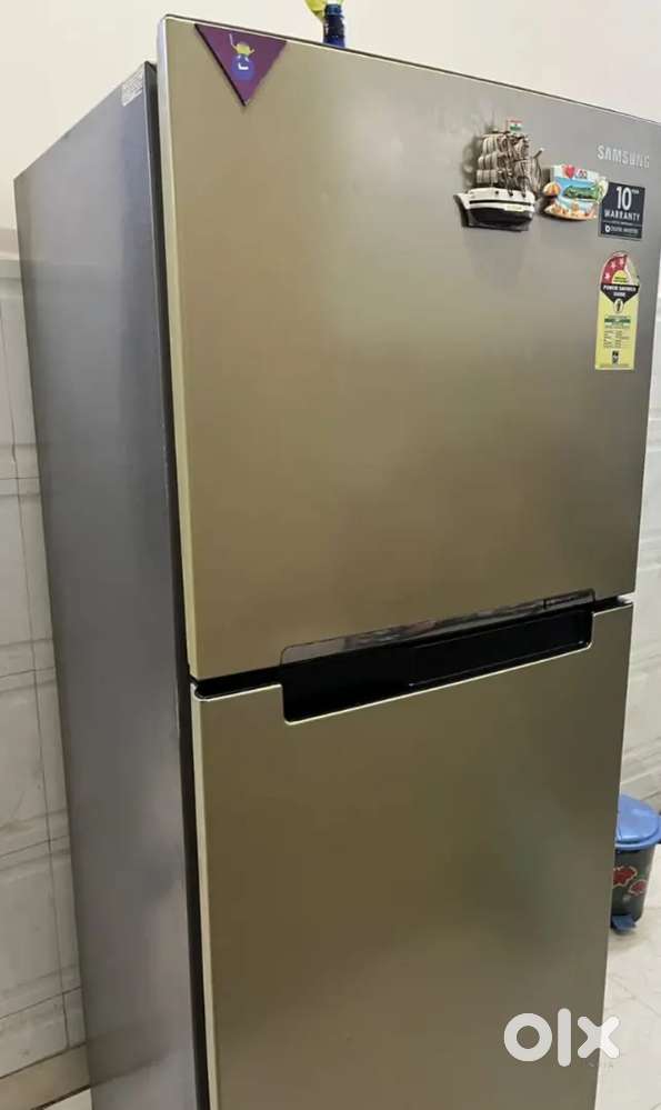 Samsung 253L Double Door Fridge