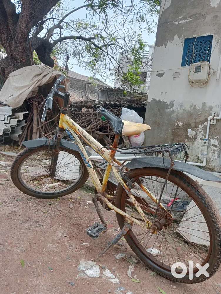 Full condition AYAN BAPU [HOME NO.252]