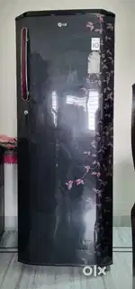 Lg 290 litter single door