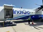 Now We Are Hiring best Candidates in indigo Airlines for Ground Staff