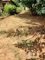 grass cutter