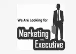 SALES / MARKETING EXECUTIVE