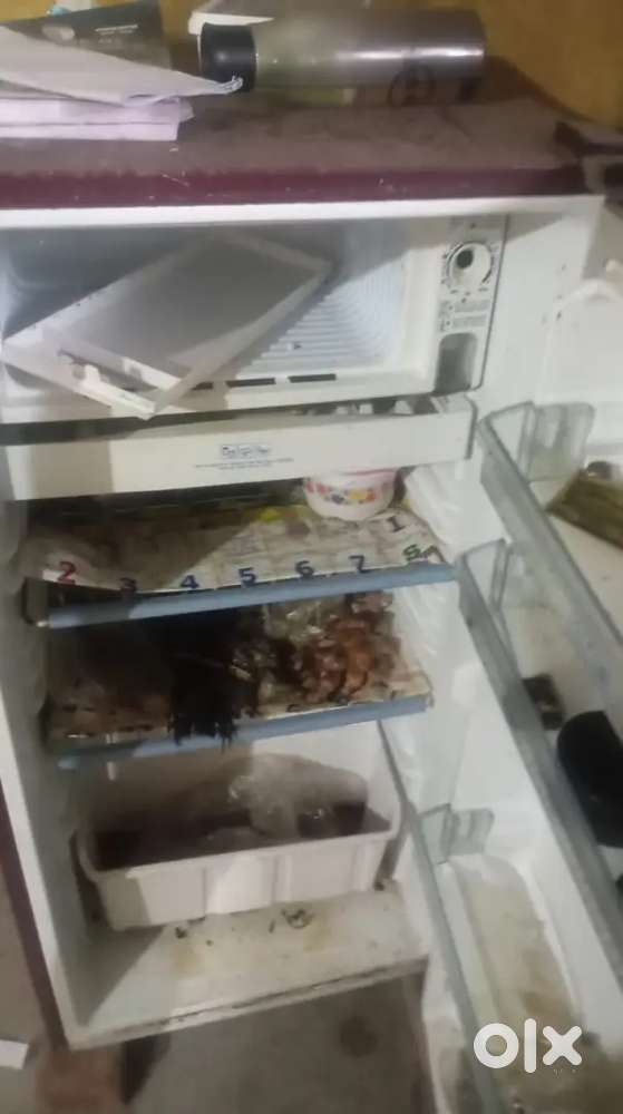 3month use fridge sale