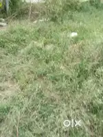 Agriculture land