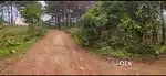 Jaka ban die ha mawkhasiang direct trai