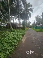 8.5 cent Housing Plot at Ettamal cherukunnu