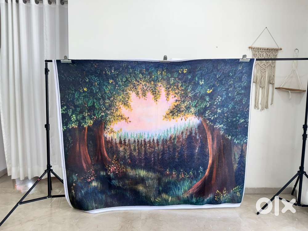 Backdrops for kids photography