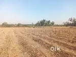 Land for sale near kambadur kalyandurgam