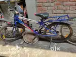 Addo Junior Ranger Cycle