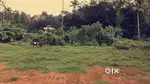 Kolenchery land for lease