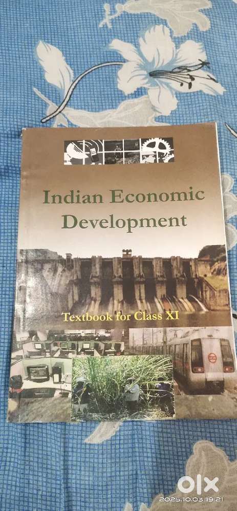 Indian Economic Development