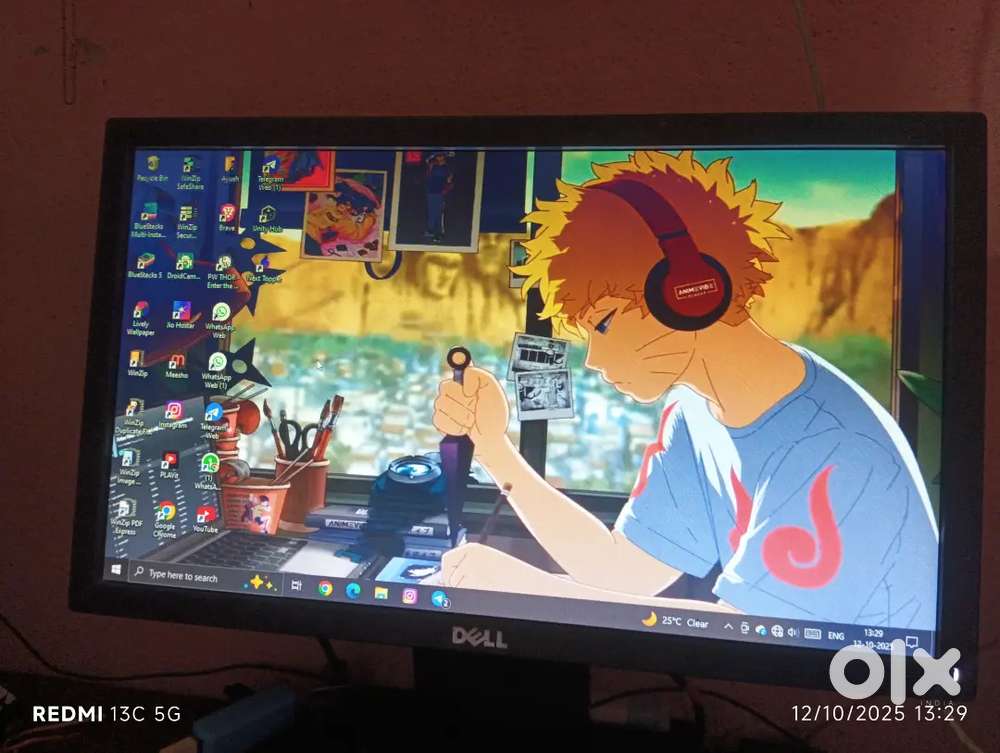 Dell E1916HV 19.5 monitor