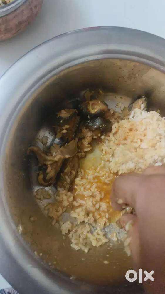 Noodels master kavali