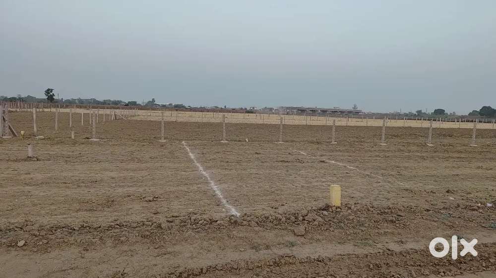 Plots near Peptech City