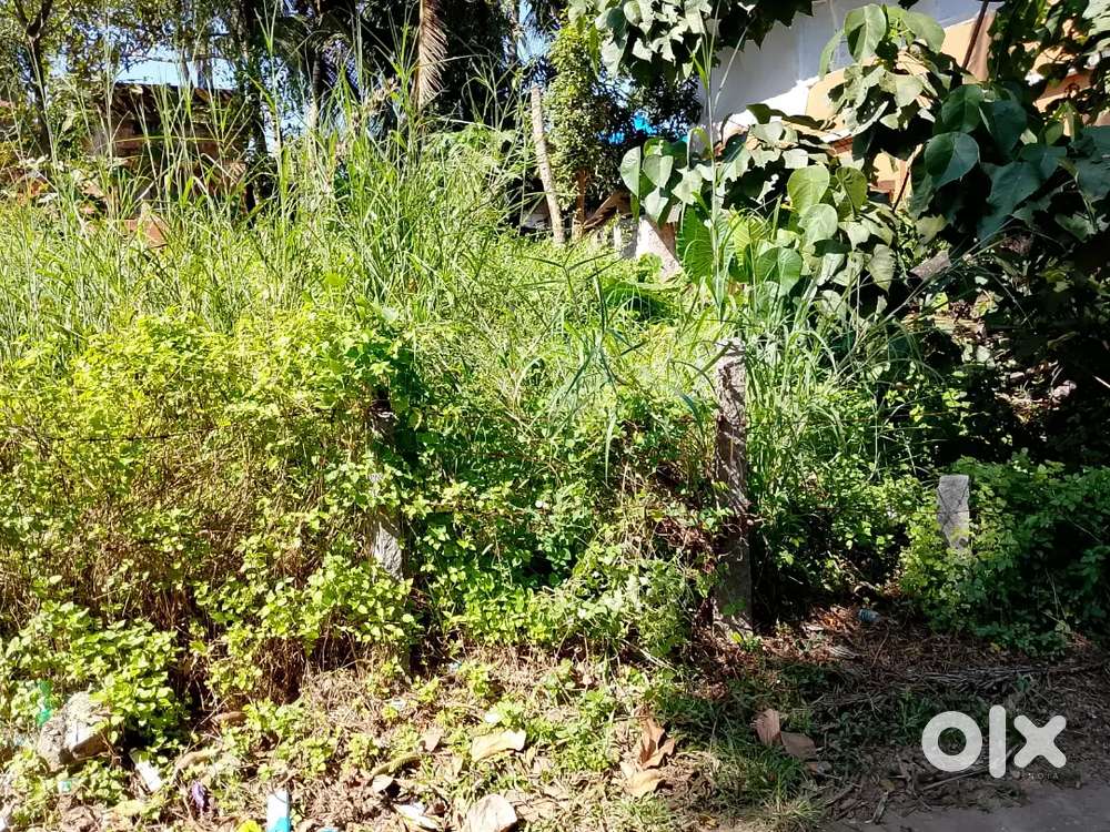 9.5cents land for sale at bendoor shivabag