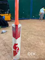 SG English willow bat for sale