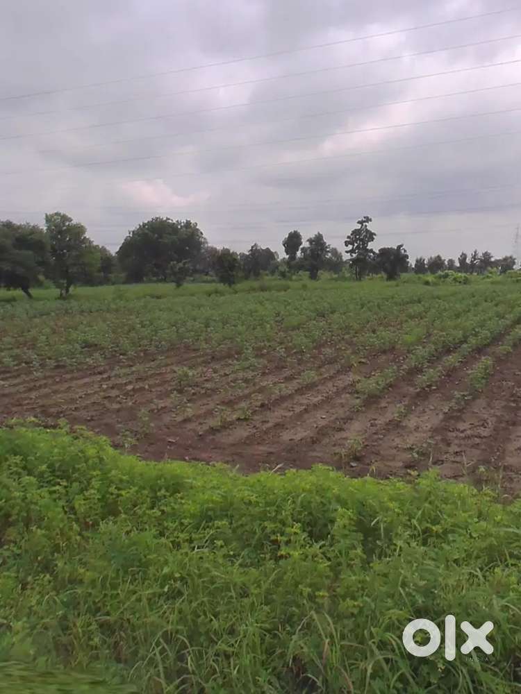 “Farm Land for Sale – Only Direct Buyers, No Brokers Please”