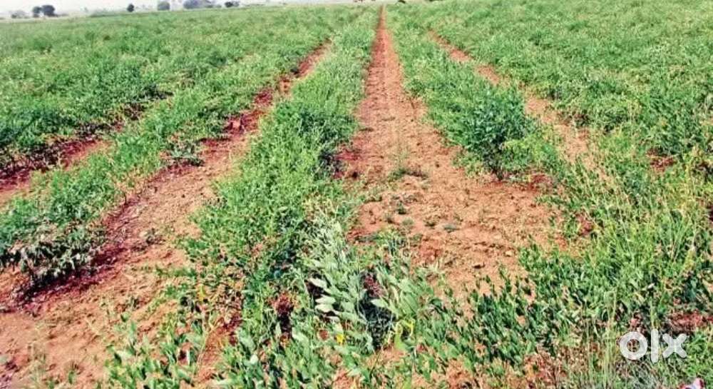 2/3/5/10 Acres Sale Near by Khammam