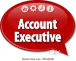 Accounts Executive