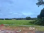 THEVAKKAL THENGOD RESIDENTIAL PLOTS NEAR NUALS KALAMASSERY