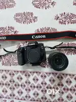 Canon EOS 80D, 18-135mm lens