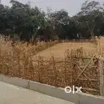 10 decimal plot at Nilagiri