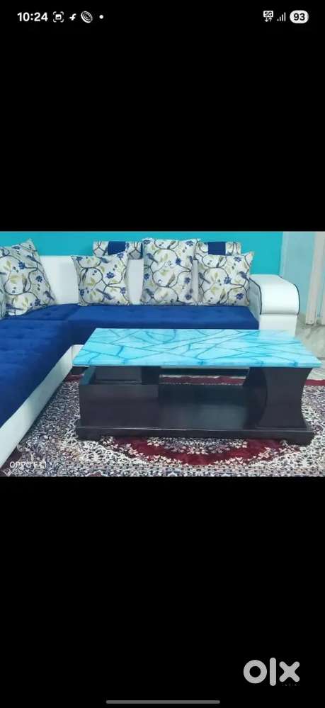 Soberly used premium L shape Sofa set