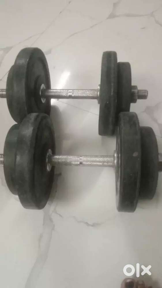 Gym doumbles 6kg ke 2
