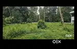 Muvattupuzha mannor house plots for sale